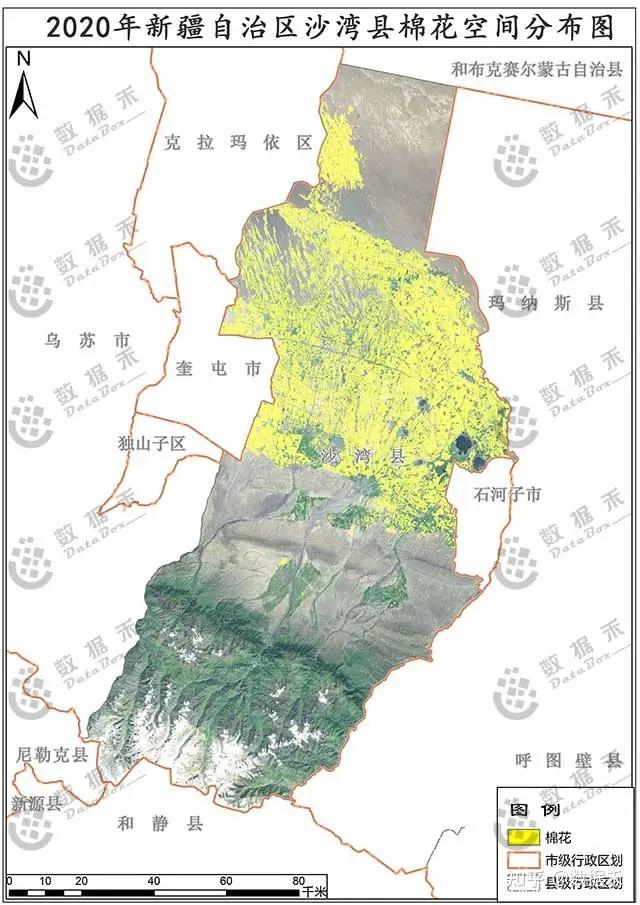 新疆棉区主要包括新疆和甘肃地区,其中2020年棉花播种面积为2501