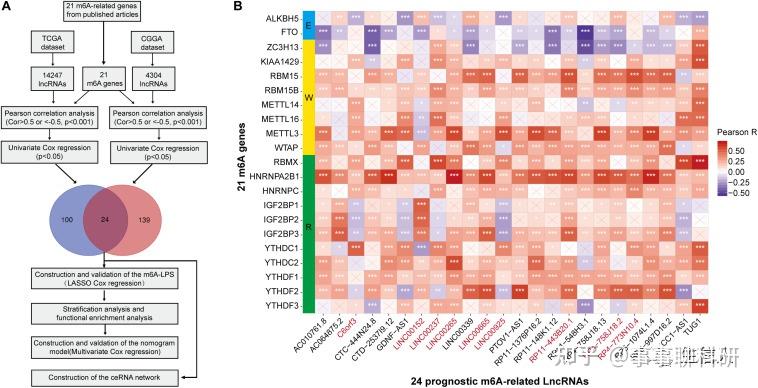 （国自然热点）m6A相关lncRNA预后分析 - 知乎