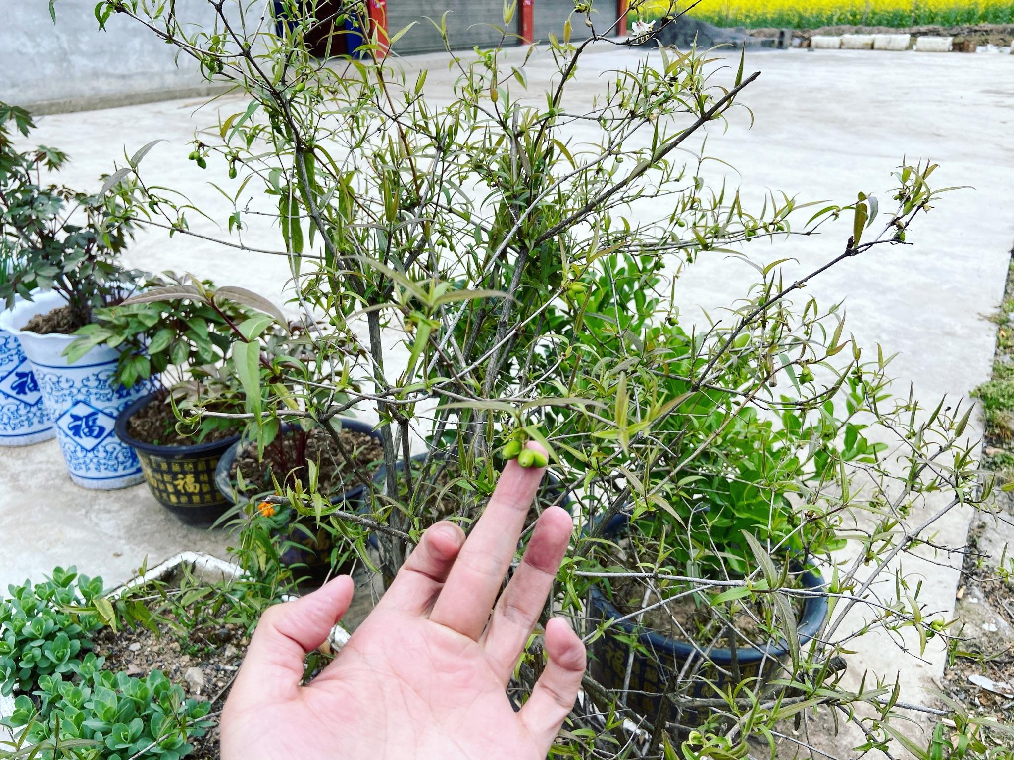 觉得背单词很枯燥,背不下去怎么办? - 知乎