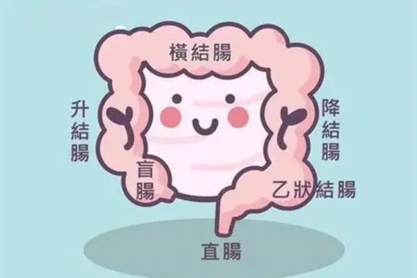 肛门也会长癌肛门癌有哪些症状