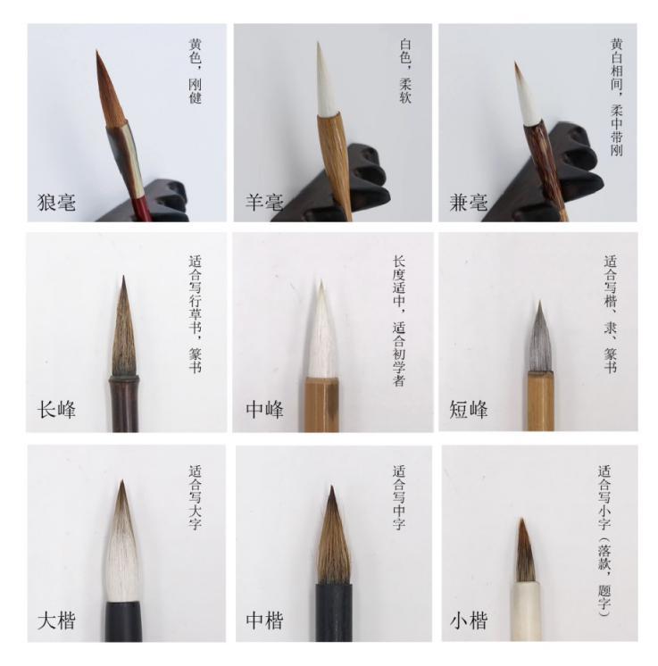 书法常用书法用笔图鉴