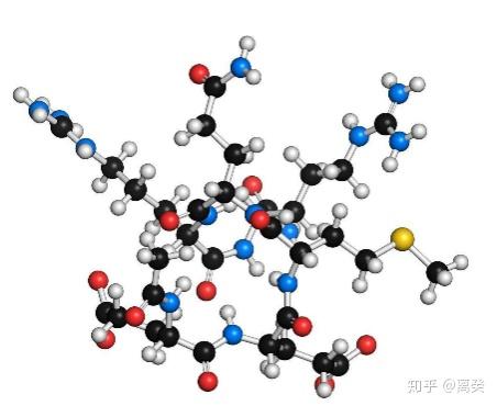 抗氧化精华什么原理_抗氧化是什么意思