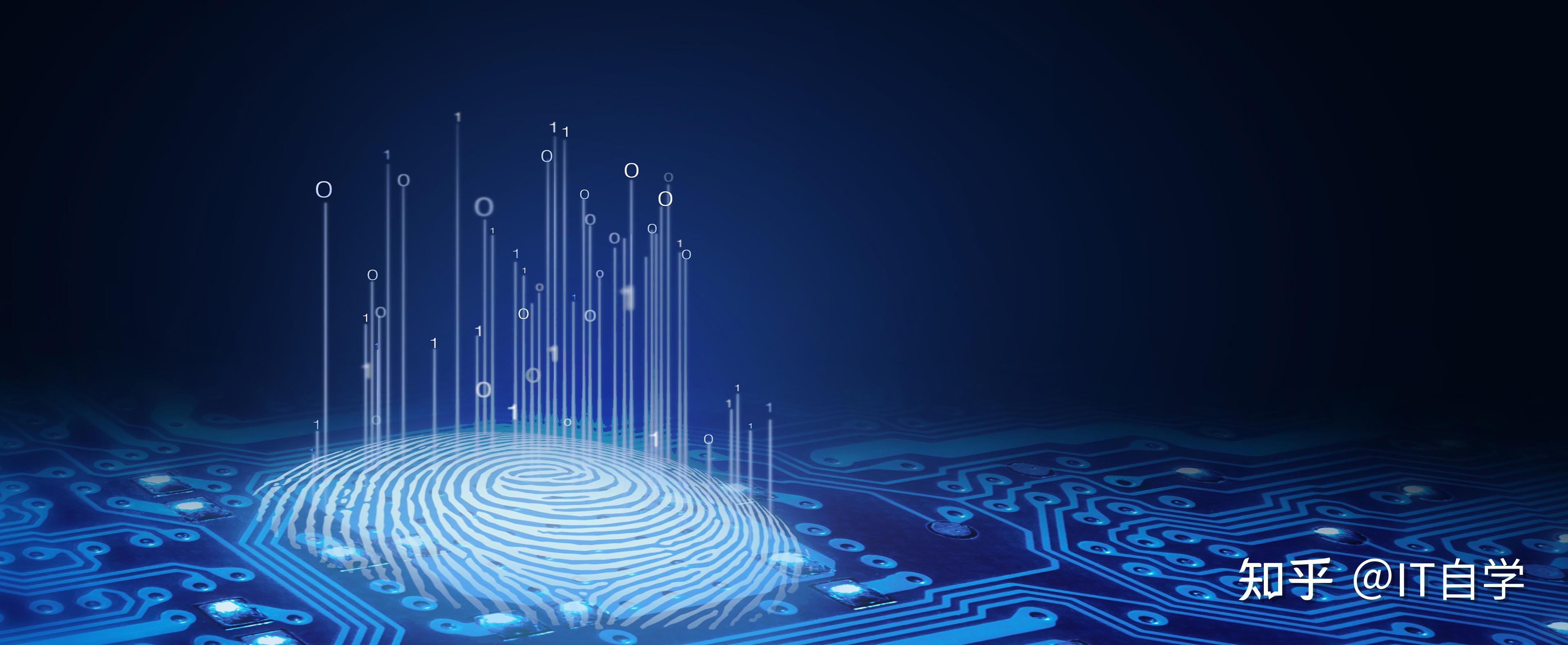 什么是算法，程序员怎么学好算法？ - 知乎