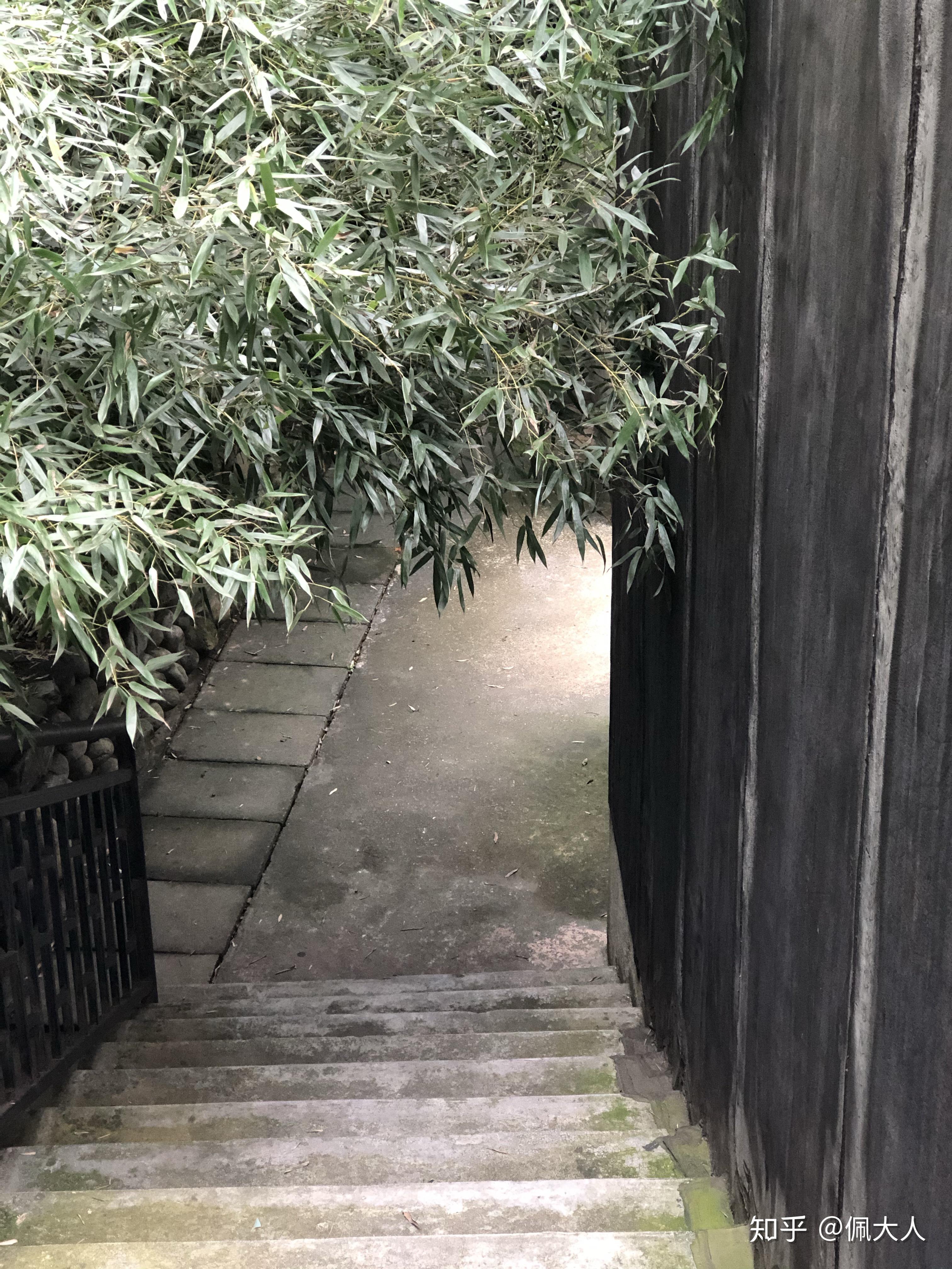 独处 - 知乎