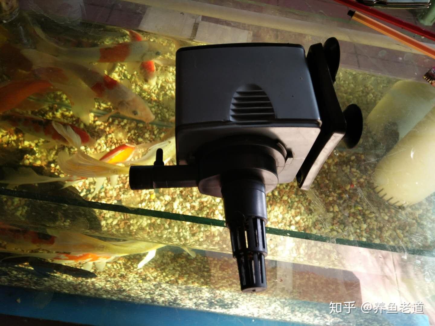 三合一水泵的出氧口很小,而且会设有一个小鸭嘴,水流也不大,在小鱼缸