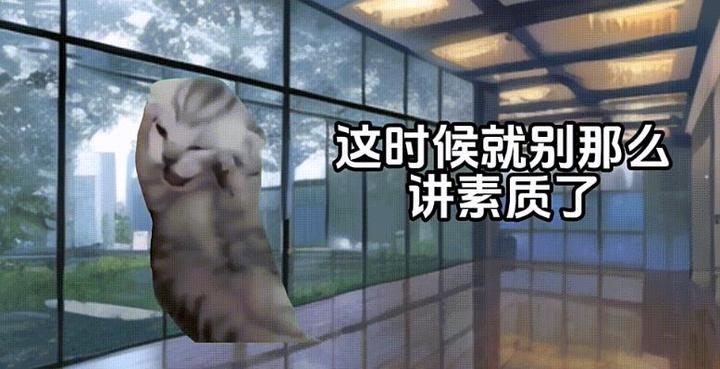 猫meme不仅可以搞笑,还可以做推文赚钱!思路打开了!素材分享! - 知乎