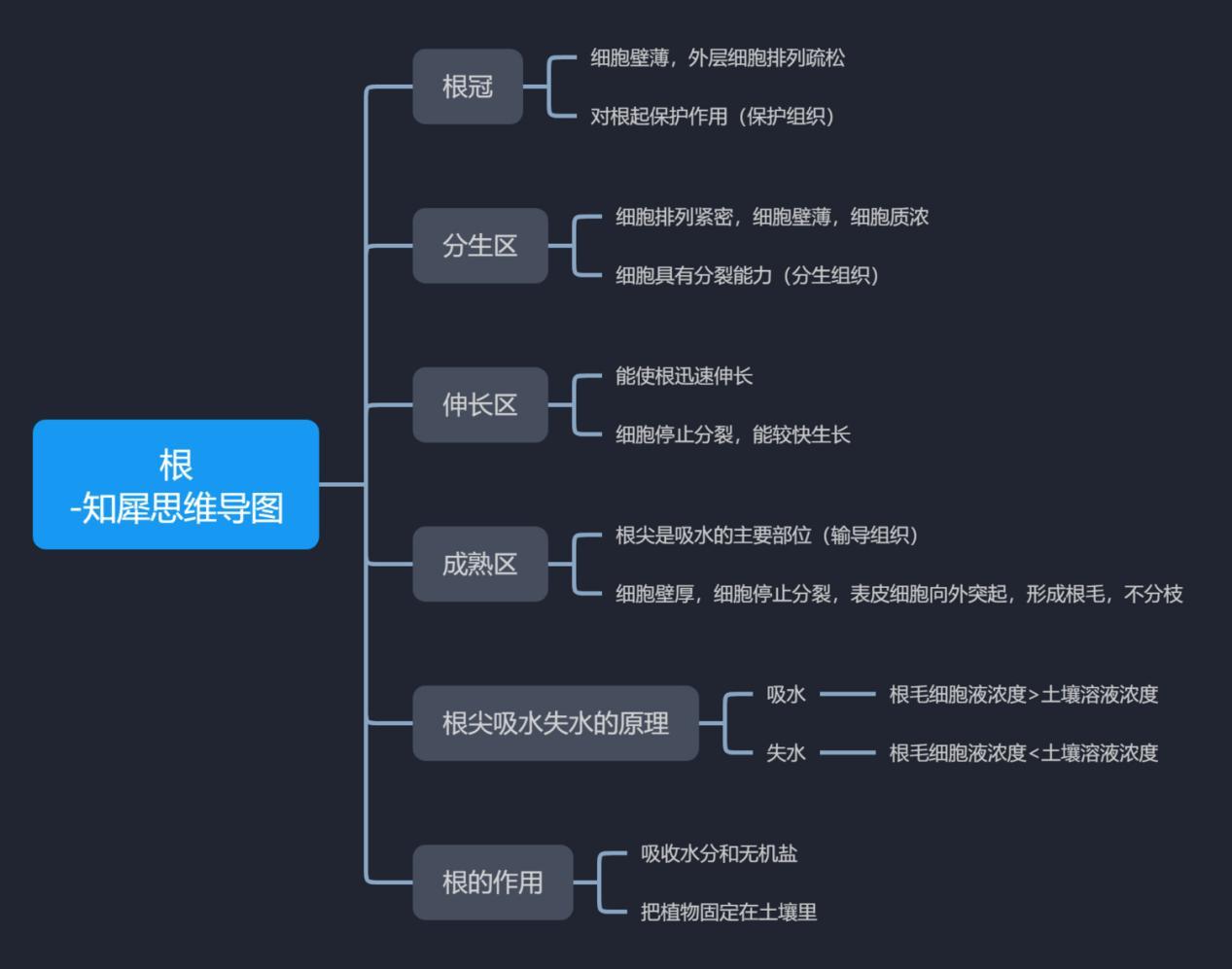 初中生物思維導圖合集37張清晰思維導圖免費分享