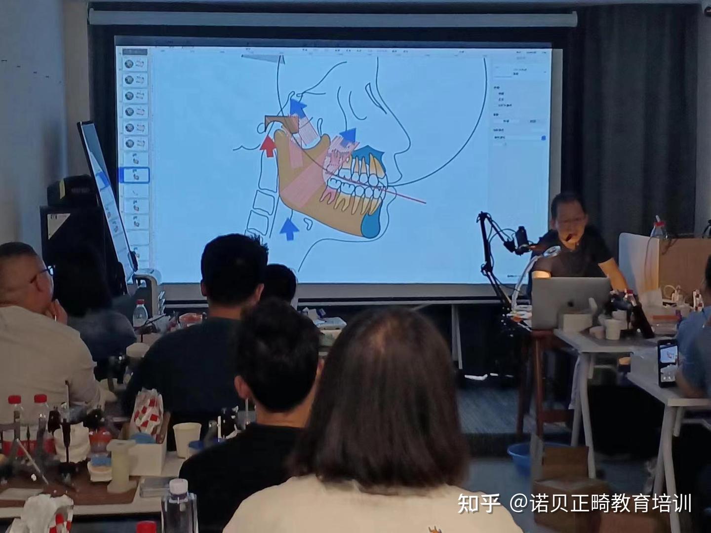 周茂强老师维也纳颌学流程班,非常值得期待! - 知乎