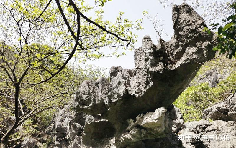 常山三衢石林景区图片