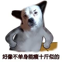 v2-d7ede3e8fa915dd8d650c938c86aeafc_b.jpg