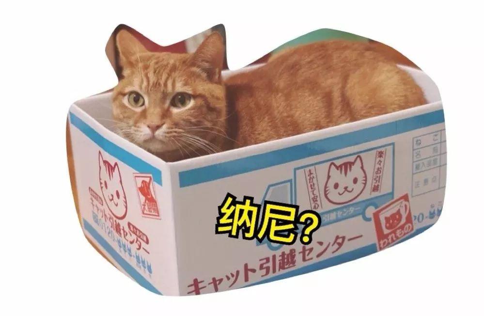手把手 教你买到 爪感 最爽的猫抓板 知乎 手把手 教你买到 爪感 最爽的猫抓板 知乎