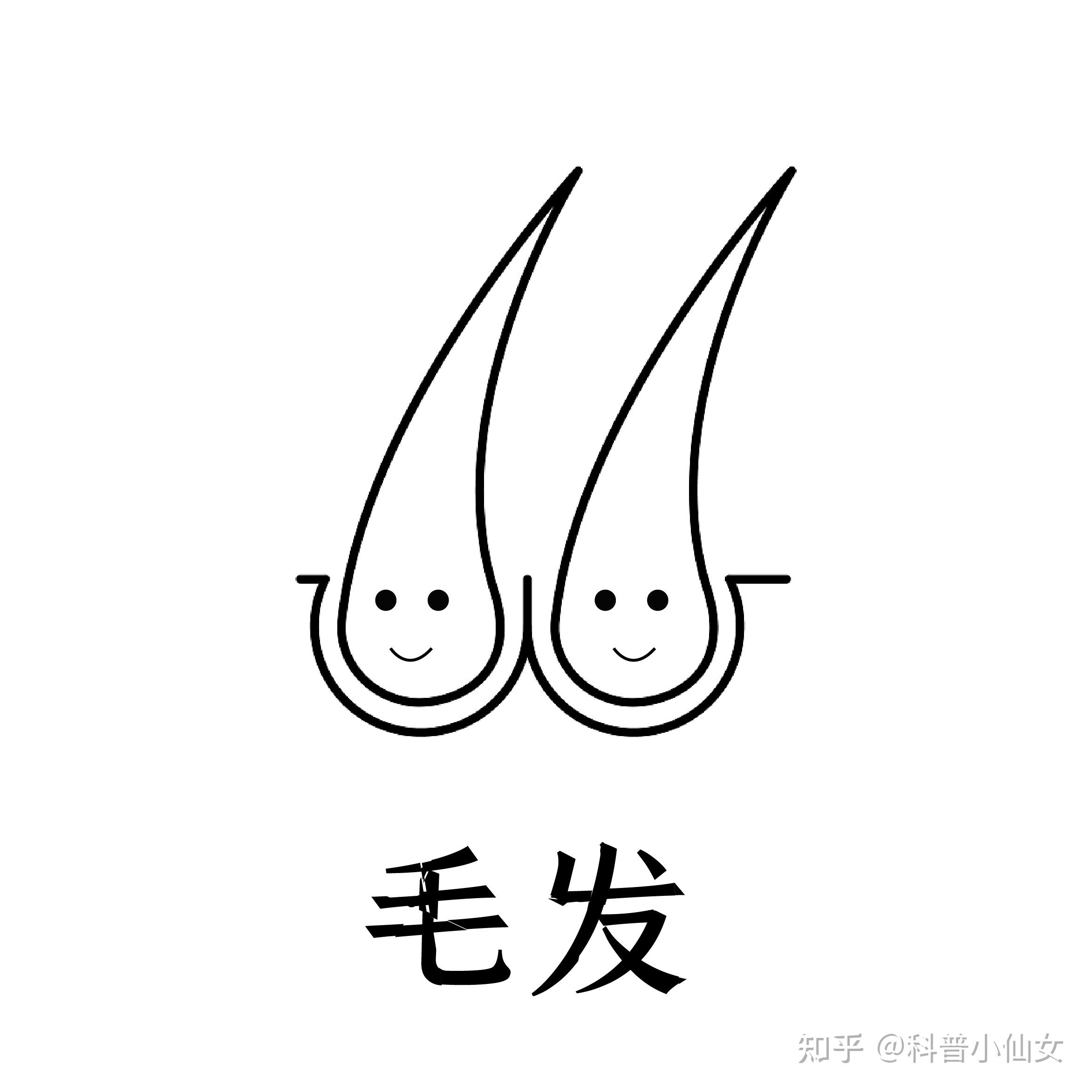 脱毛产品的优缺点你知道吗?