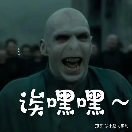 哈利波特表情包之伏地魔系列强劲来袭爱我你怕了吗