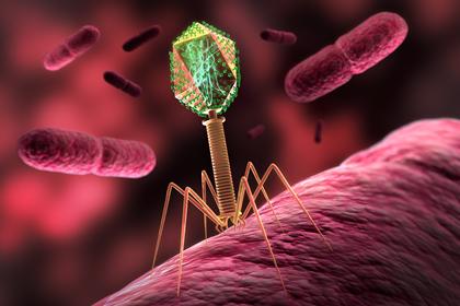 噬菌体侵染细菌的实验笔记2.3.1.