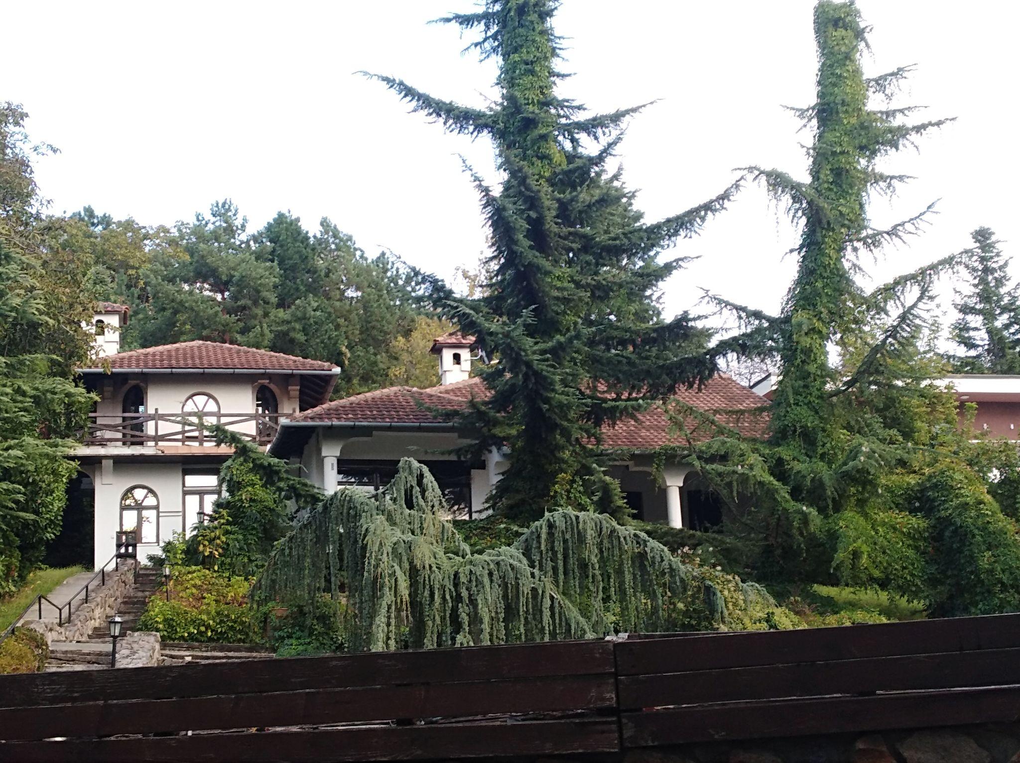 树是不是不能比房子高 v2-d823cb1a83f3ec91d473d5423a6fc374_r.jpg