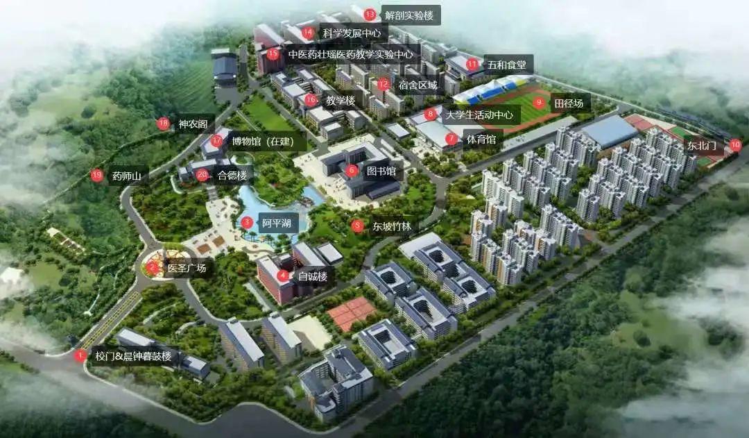 广西中医药大学第一临床医学院中医骨伤科学专硕考研难度及复试调剂
