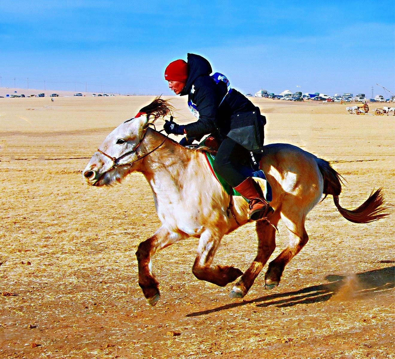 四蹄离地这才叫飞奔