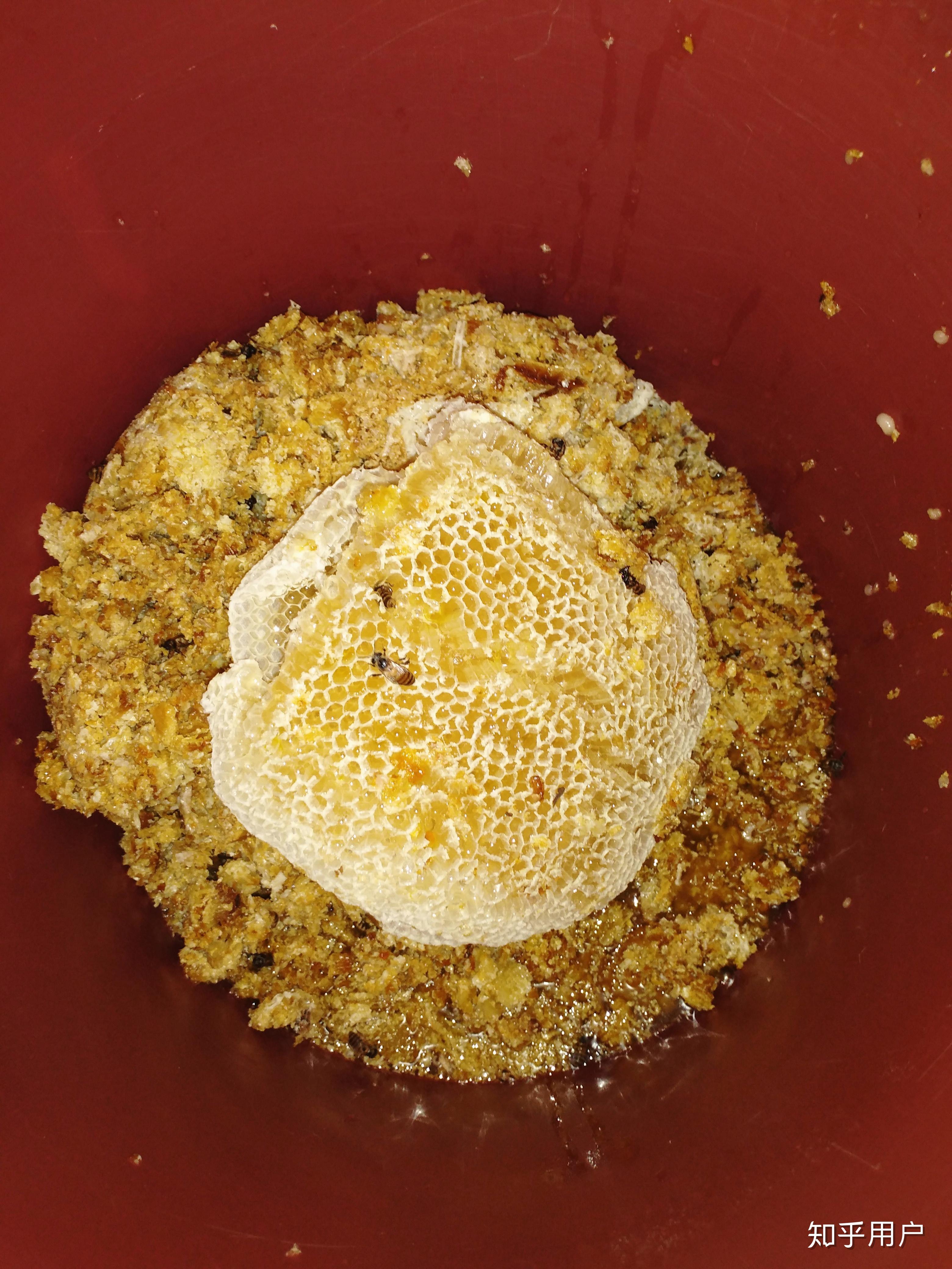 超市卖的蜂蜜大多是假蜜吗哪里可以买到真蜂蜜