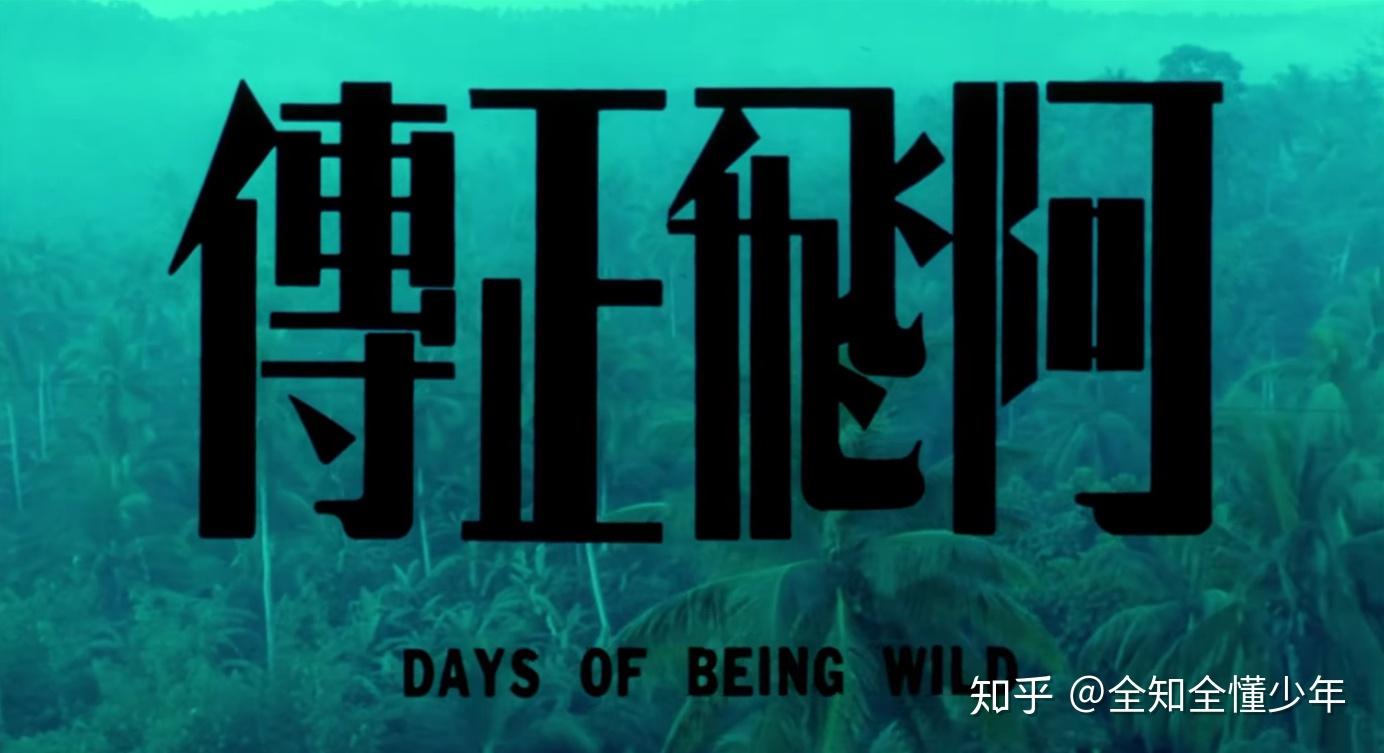 阿飞正传看不懂
