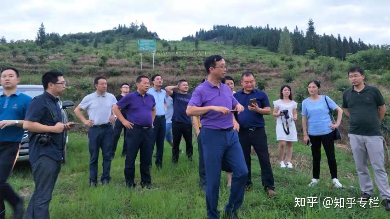 天龙山上逐梦人重庆市酉阳县车田乡党委书记田华强打造世外车田土家