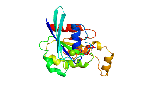 Pymol Rotation Axis Pymol绘图|Pymol绘制3D旋转动画 - 知乎