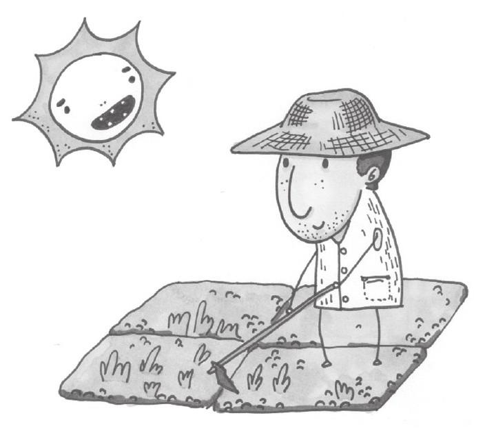 agri(agro, agr)=field 田地;农业 - 单词不用背