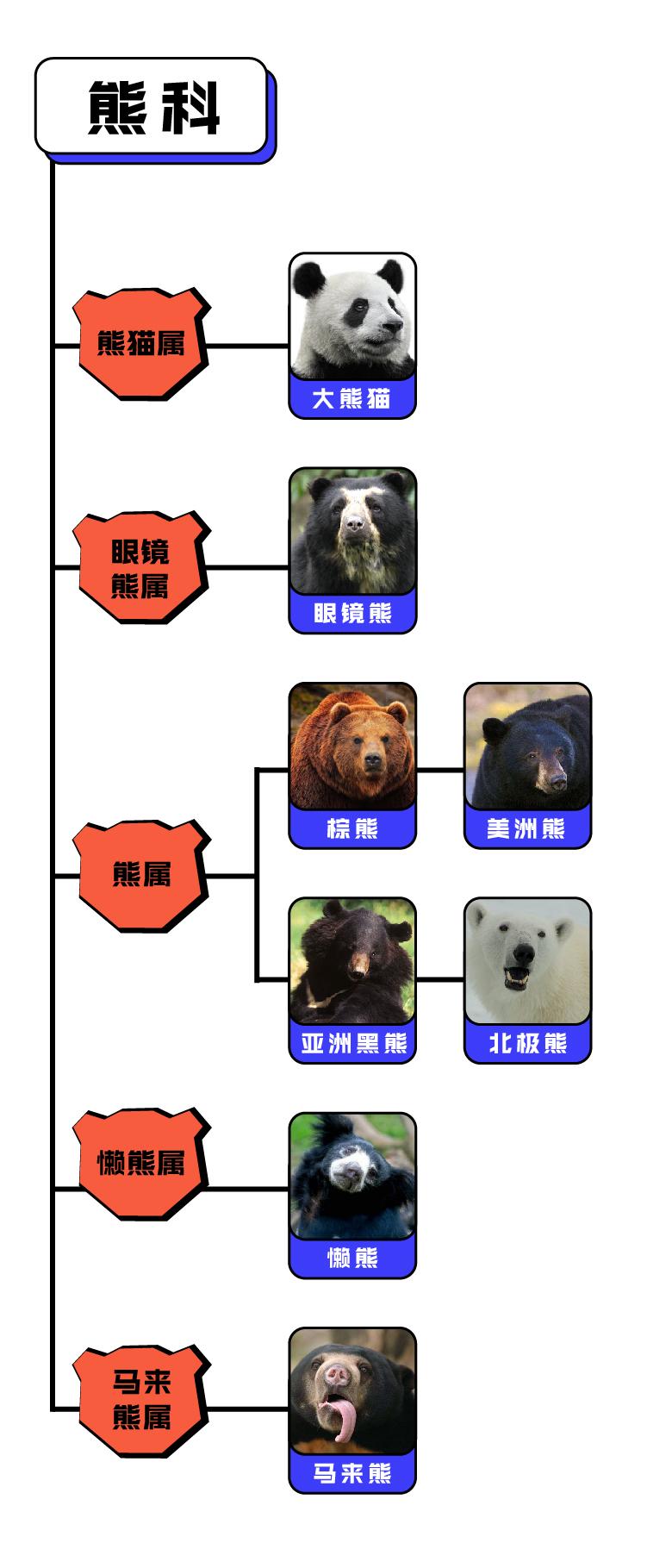 熊孩子到底是种什么熊? - 知乎