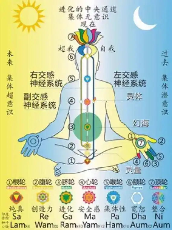 脉轮——身体智慧地图