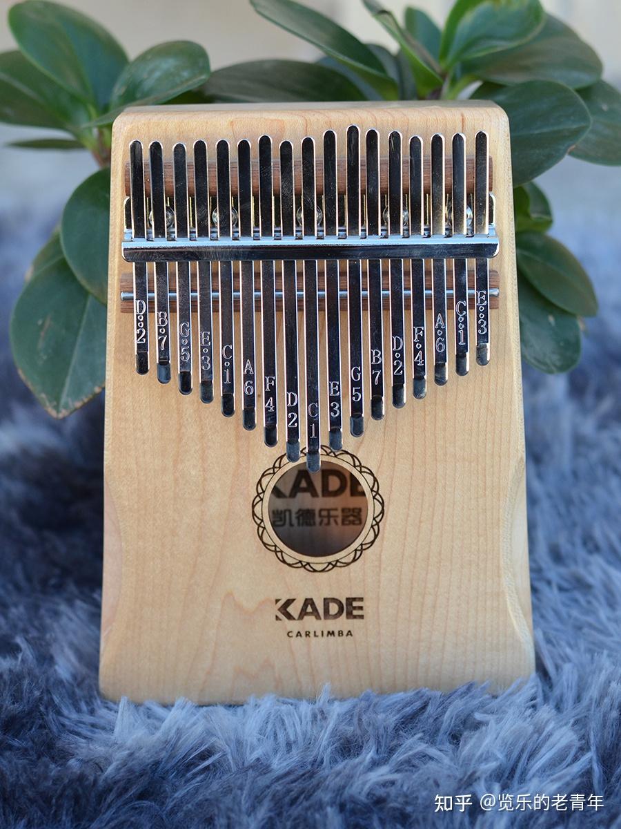 有没有什么适合女生自学的乐器? - 知乎