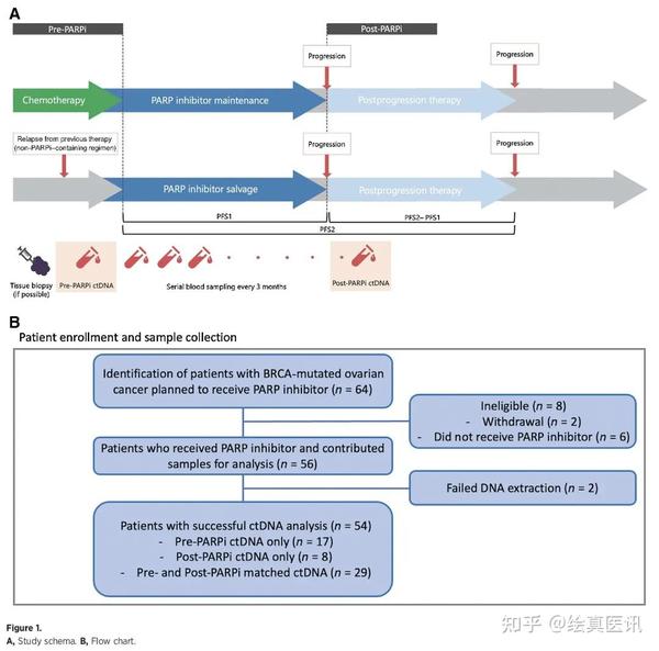 CCR重磅 | 血液ctDNA分析BRCA突变卵巢癌PARPi耐药机制及预后生存 - 知乎