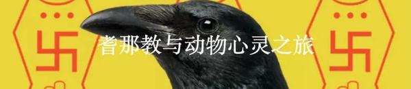有人知道生物医学工程学杂志是核心期刊和国家级期刊 (有人知道生物吗)