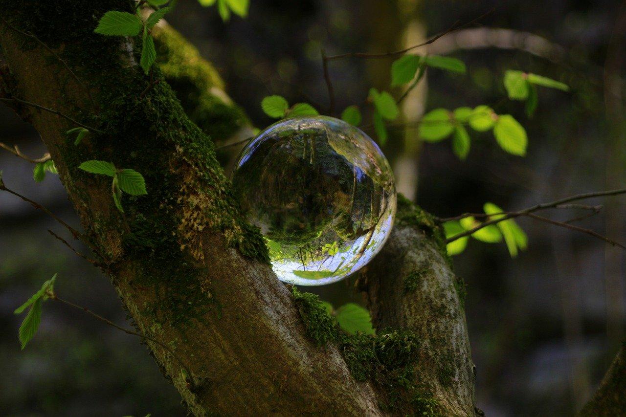 2. 水竹根腐防治