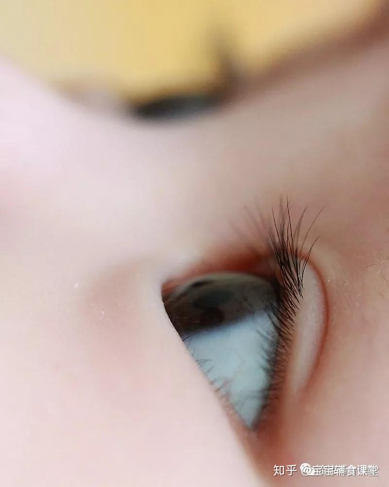 342.1 —2.0眼神会追逐物体了当宝宝面前滚动着一个皮球时