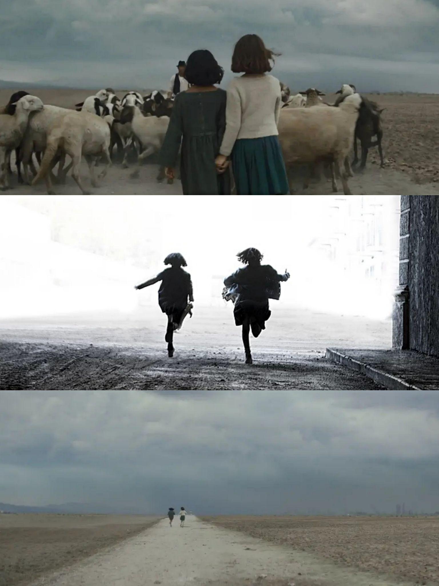 我的天才女友她们两个是很多闺蜜的影子