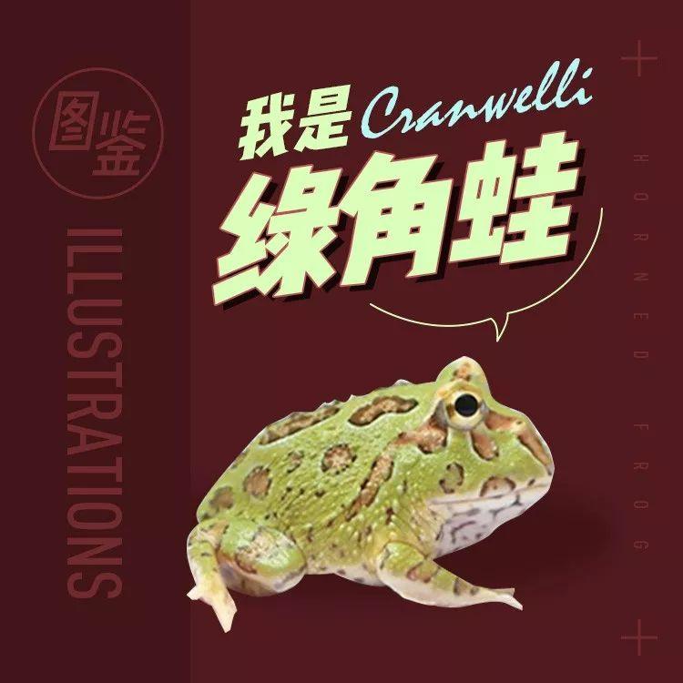 草莓:红色越鲜艳纯粹,品质越好 ↓草莓,皮卡丘和绿角蛙!