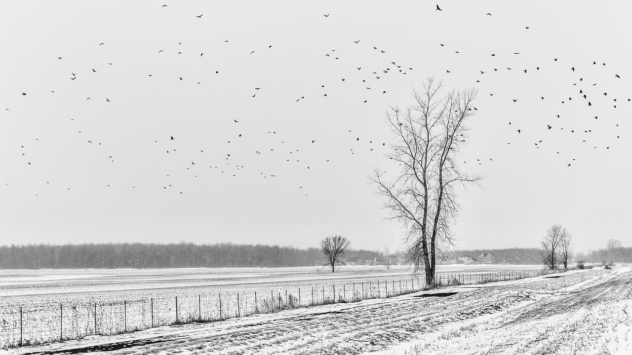 3. 盘旋路景观优势