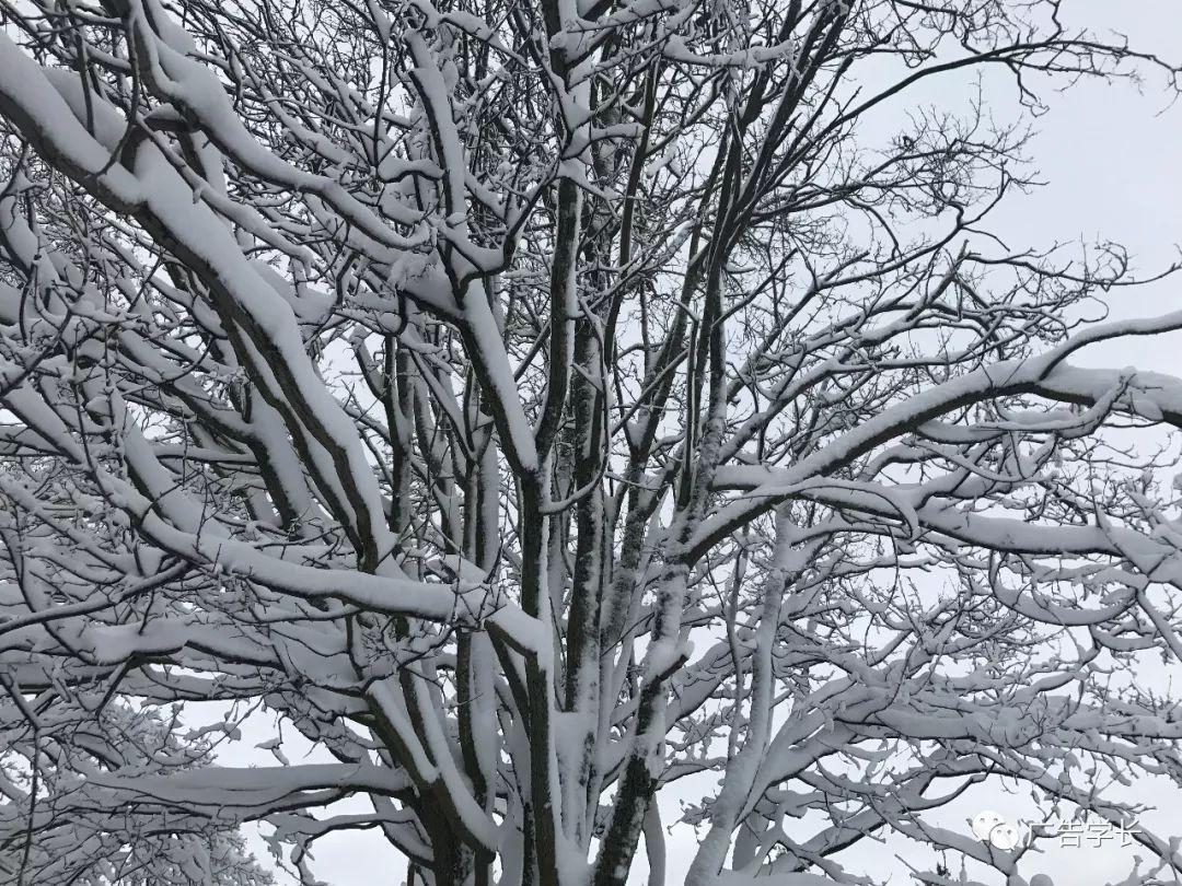 工科女跨专业考研难度多大?