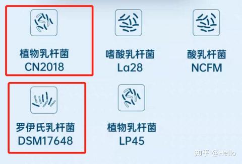 幽门螺杆菌怎么治疗彻底除根 v2-d892a579c982644de228c09d8a89ba44_r.jpg