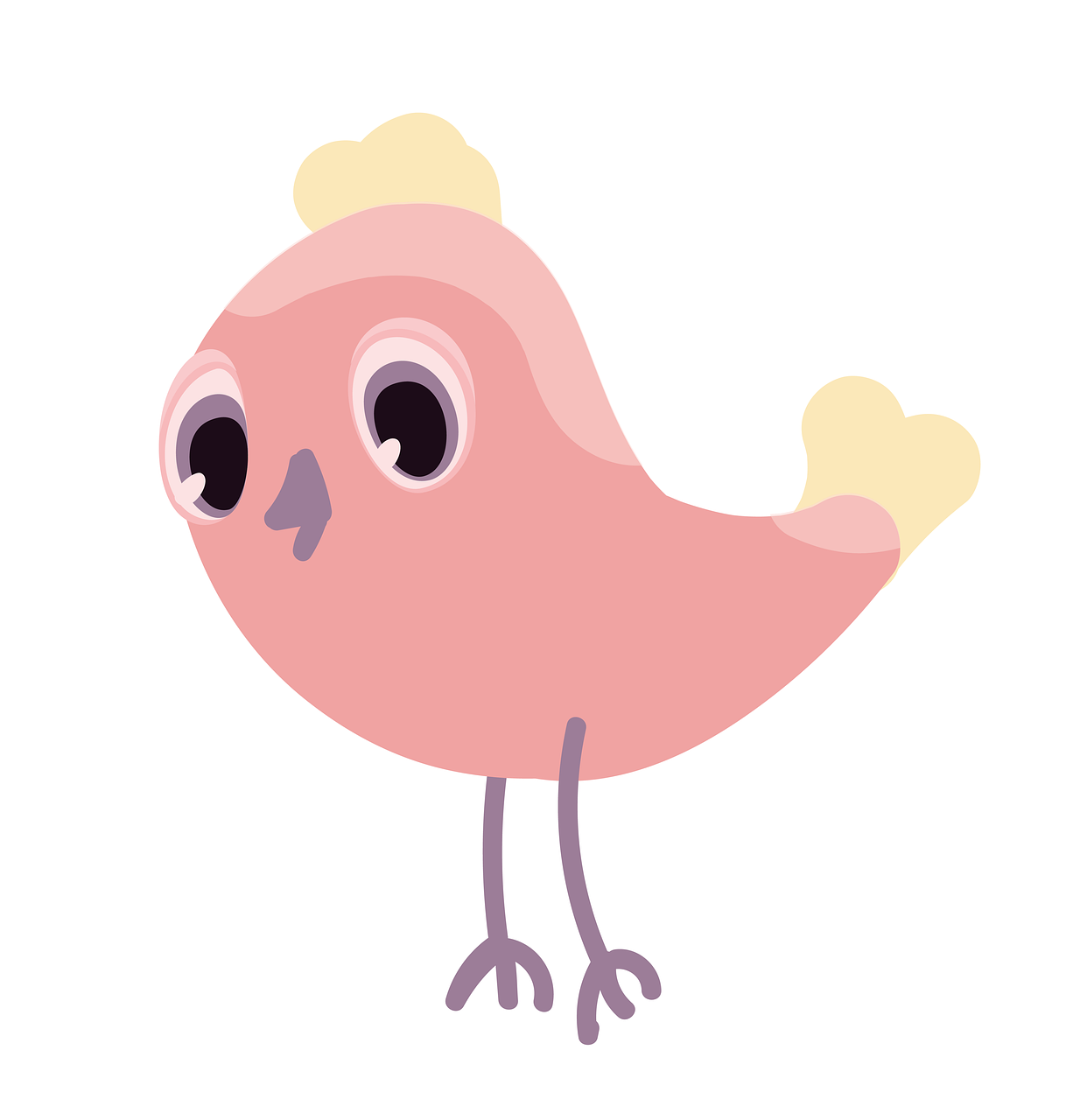 毛茸茸的小可爱