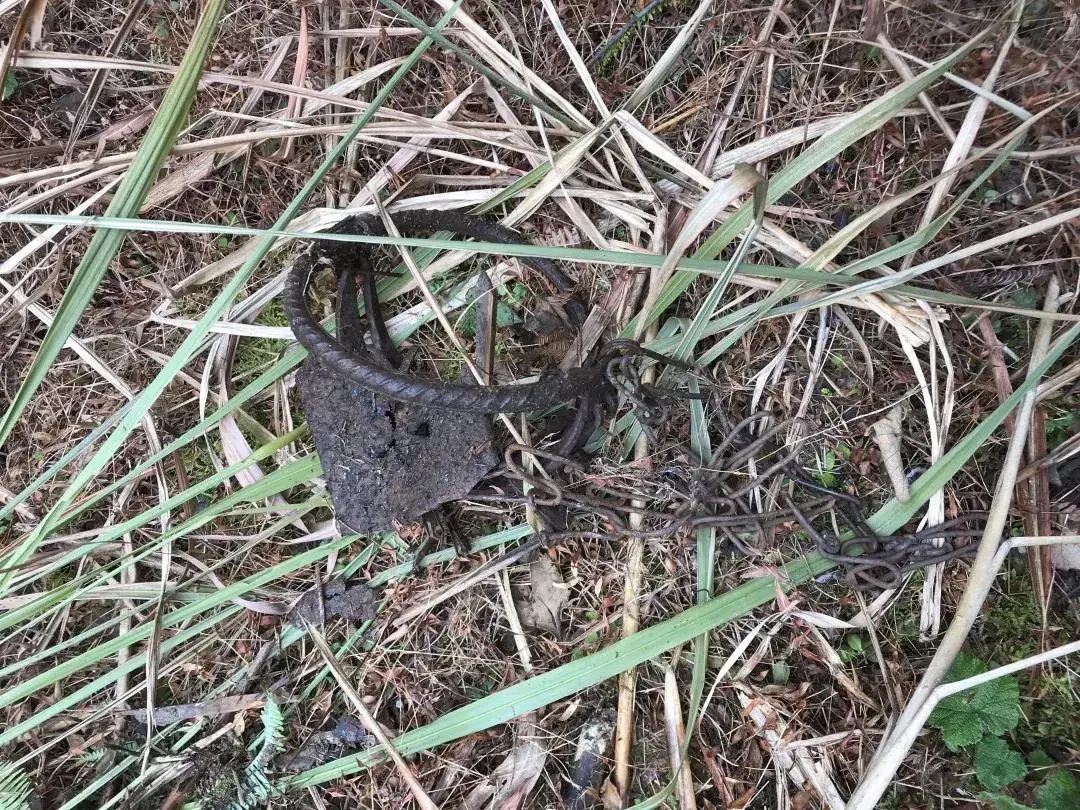 如何打开捕兽夹