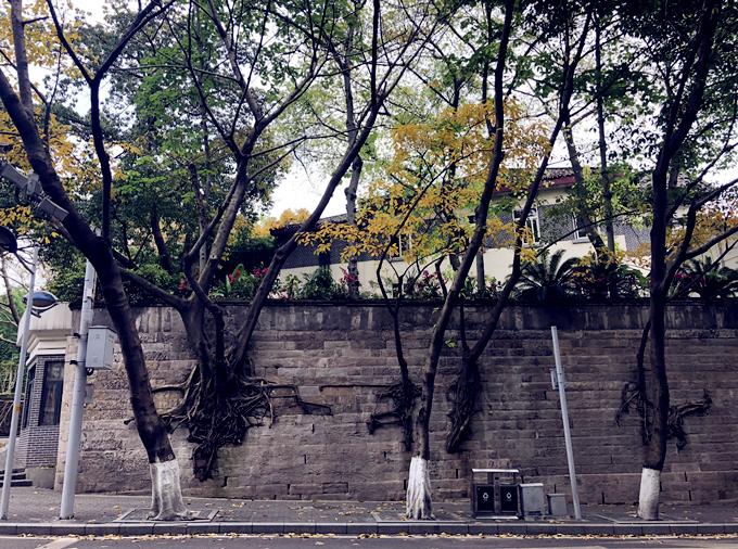 重庆有什么必去的景点?-重庆有什么好玩的景点推荐