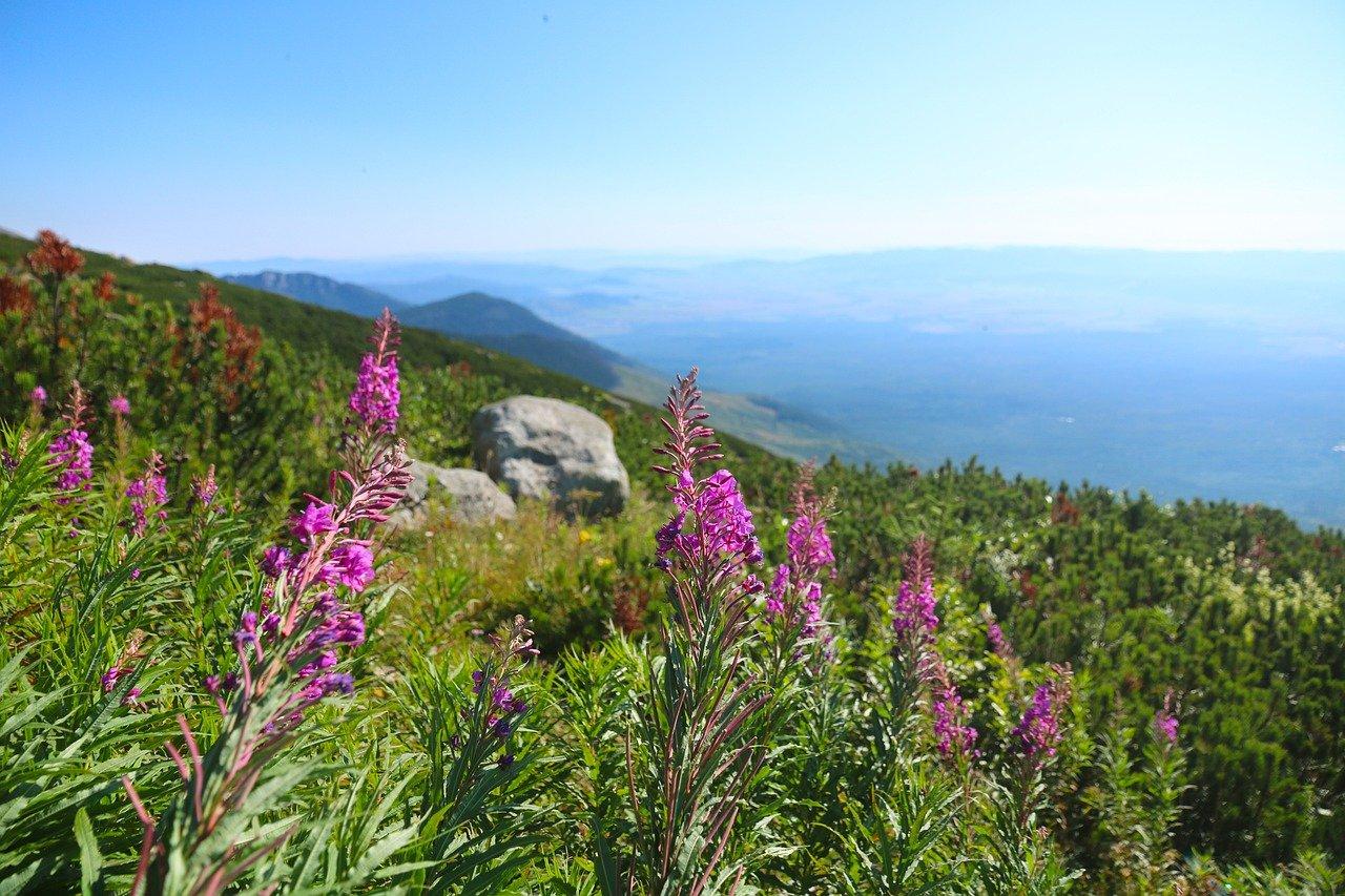 2. 花海景区导航