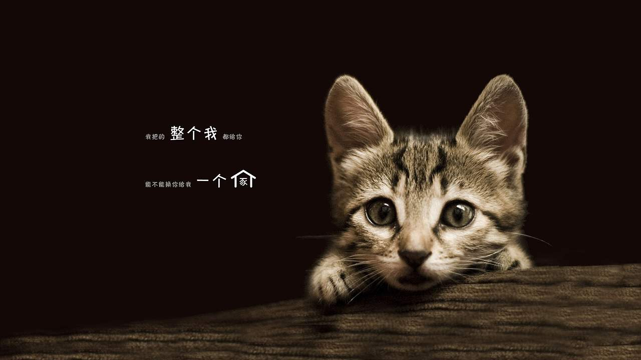 v2-d8ade46501bffed8e67e7f42fb57acf5_1440w.jpg?source=172ae18b