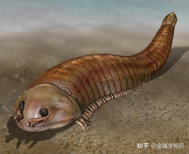 世界上存在过哪些奇特的古生物