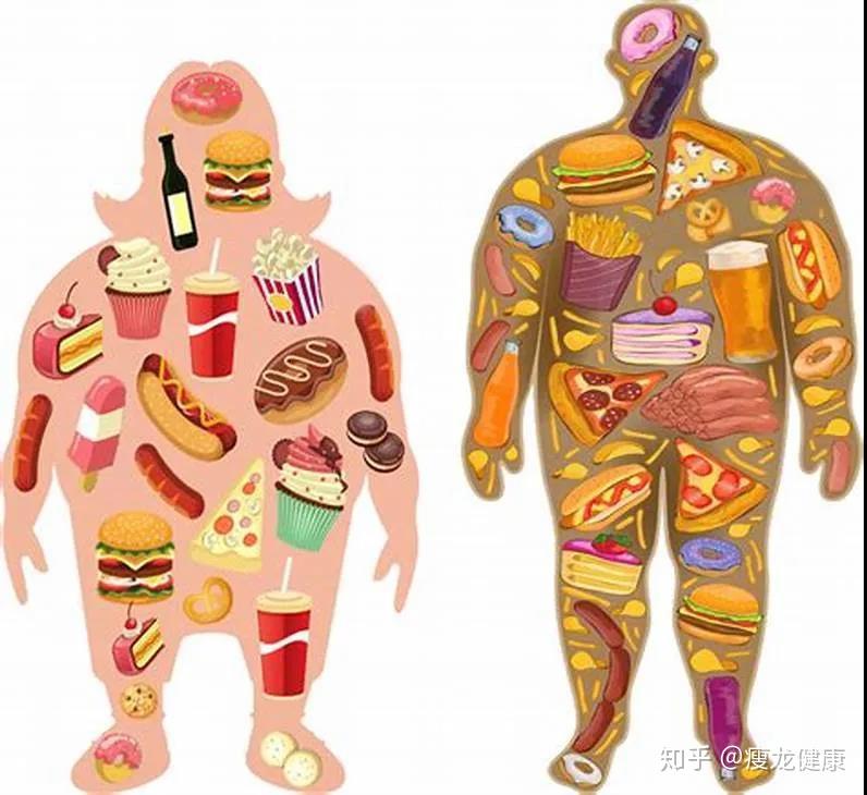 饮食营养对行为影响胆固醇糖和暴力的关系