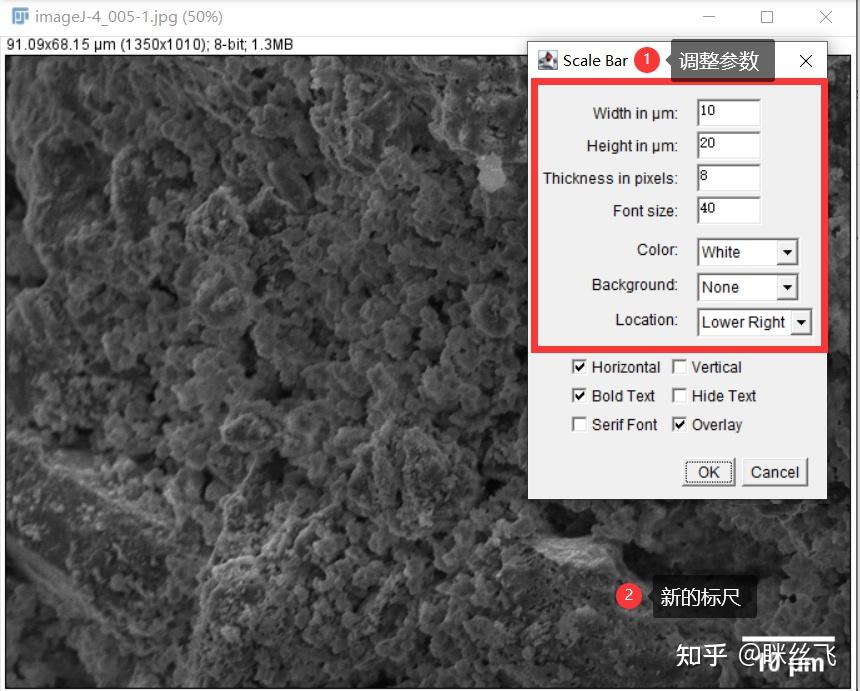 使用ImageJ给SEM图像加标尺！ - 知乎