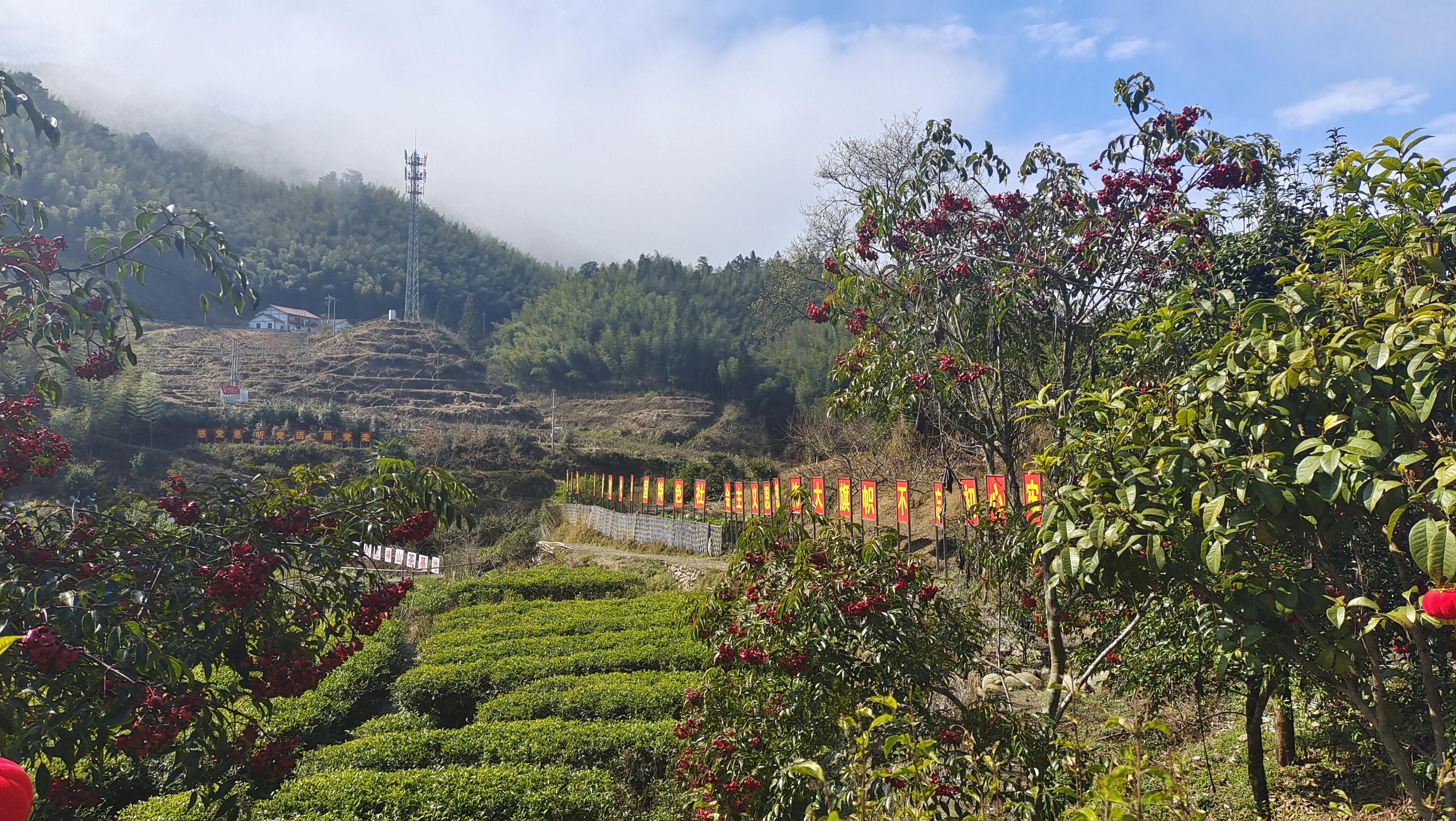 美丽吉安之乡村风光走进井冈山市茅坪镇神山村