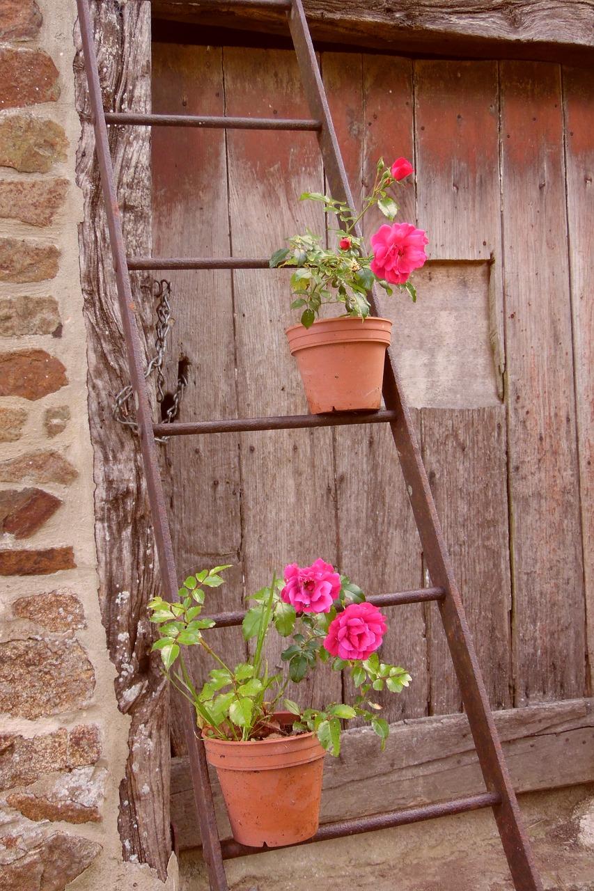 4. 产量影响因素