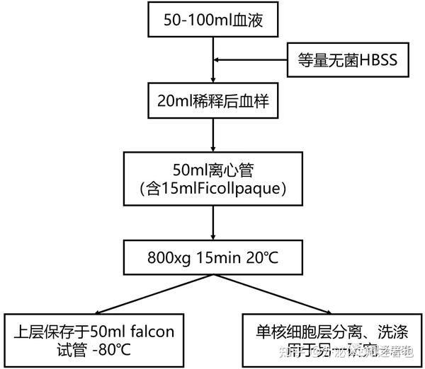 使用了ficollpaque試劑分離單核細胞用於另一研究