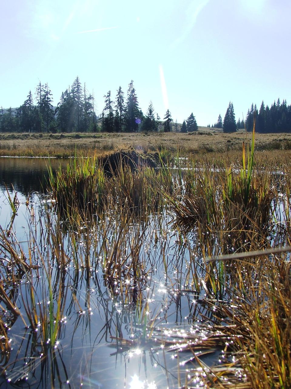 4. 设计理念探源